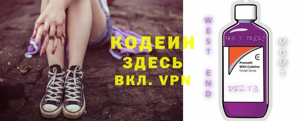 дживик Абаза