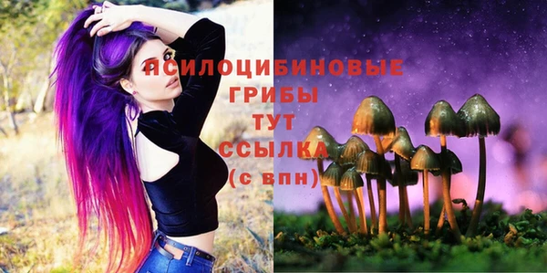 2c-b Абдулино