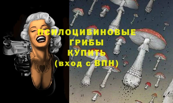 2c-b Абдулино