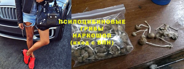 дживик Абаза