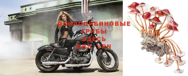 дживик Абаза