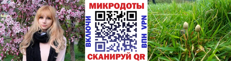 Псилоцибиновые грибы прущие грибы  купить наркотик  Агрыз 